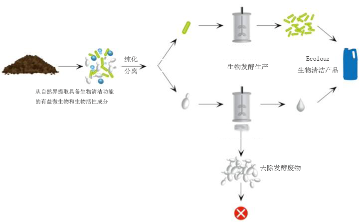 生物技术型环保浑洗剂消费示意图 生物技术型环保浑洗剂消费示意图
